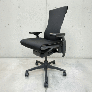 Herman Miller Embody Muster (Dispay Model)