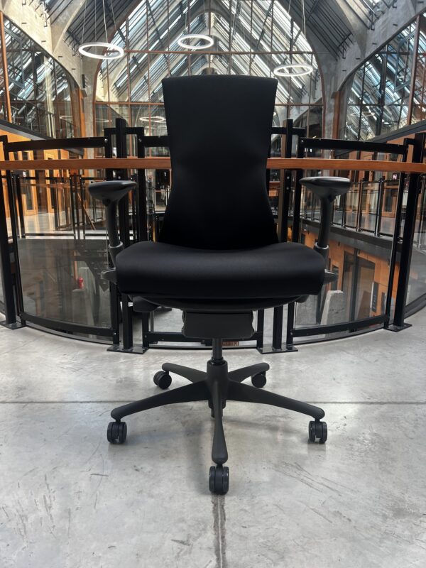 Herman Miller Embody Muster - Image 7
