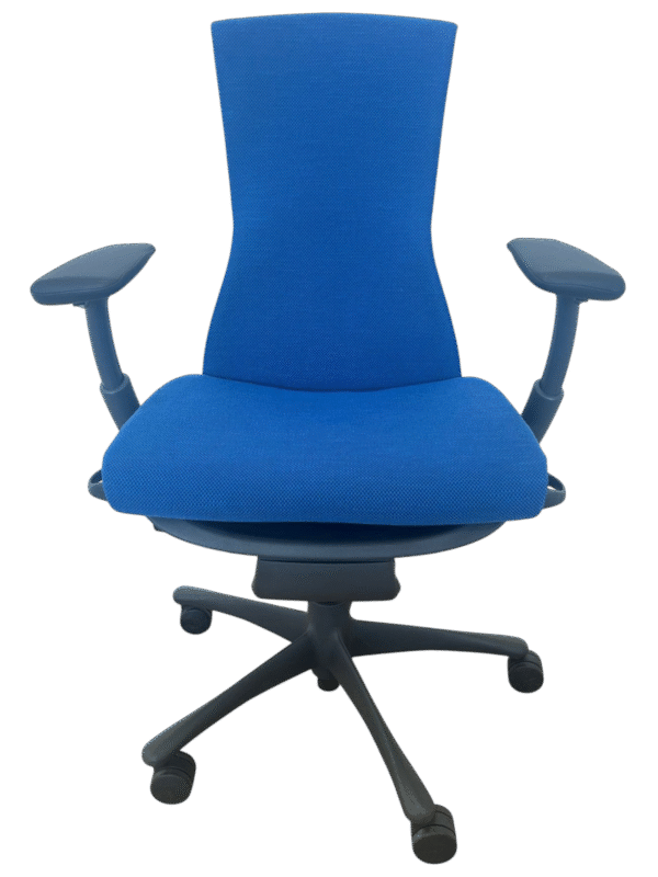 Herman Miller Embody Blue / Graphite (Refurbished) - Image 5