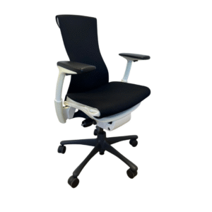 Herman Miller Embody Black / White (Refurbished)